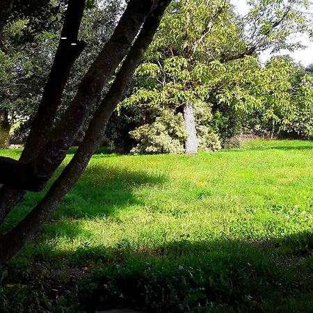 Domaine De La Tranquillite V Villa Noyal-Muzillac Bagian luar foto