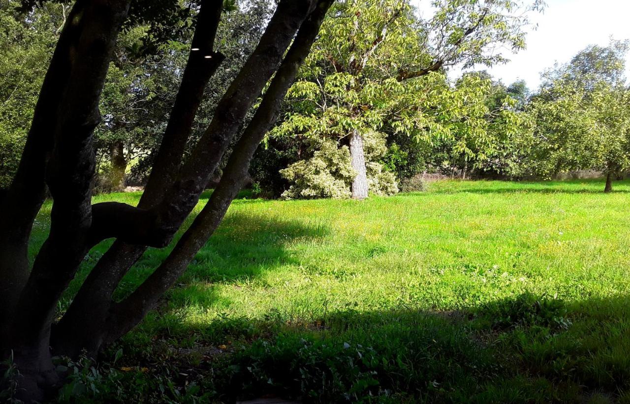 Domaine De La Tranquillite V Villa Noyal-Muzillac Bagian luar foto